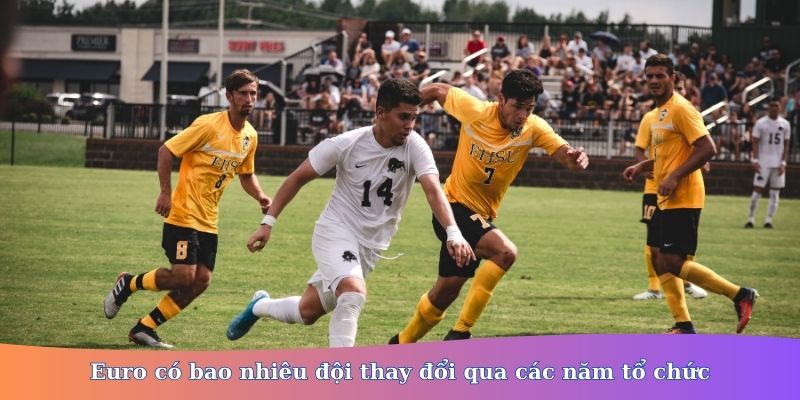 Euro có bao nhiêu đội 