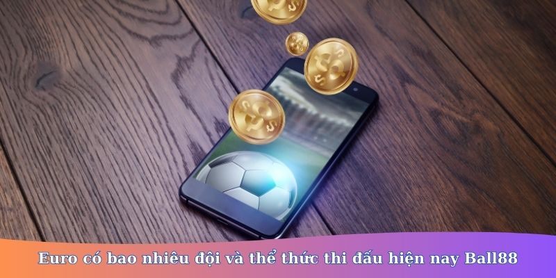 euro có bao nhiêu đội