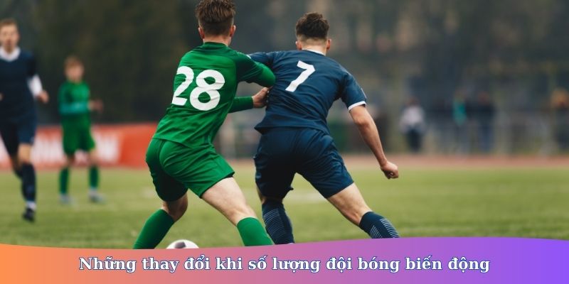 euro có bao nhiêu đội